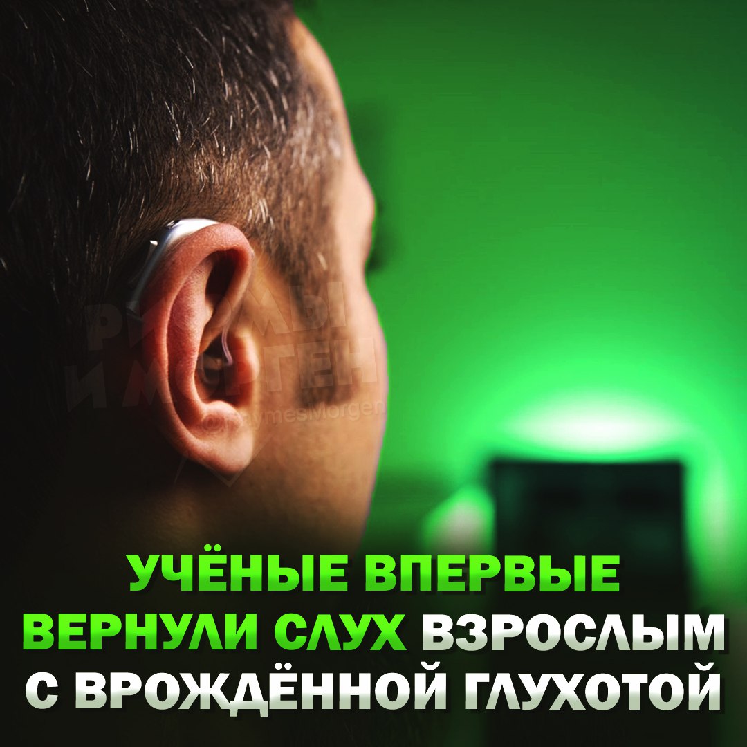 Учёные впервые смогли вернуть слух взрослым с врождённой глухотой С помощью генной терапии удалось восстановить слух у людей с мутацией гена OTOF, из-за которой не вырабатывается отоферлин — ключевой белок для передачи звуков. Через месяц пациенты начали слышать, а спустя полгода слух улучшился у всех — от полной глухоты до нормального восприятия речи. — респект учёным! Рифмы и Морген