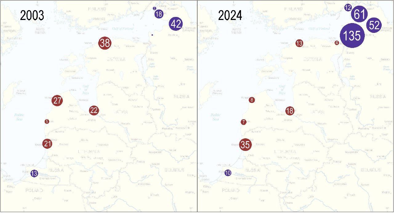 Грузооборот портов Балтийского бассейна РФ и стран Прибалтики, млн. т  В 2003 сумма прибалтов была заметно впереди. Спустя 20 лет российские порты имеют в 3 раза больший грузооборот.  Литовская Клайпеда/Бутинге смотрится бодро, но ещё в 2020 ее оборот был 48 млн т.  Мууга/Таллин и Вентспилс — главные лузеры.  Усть-Луга — мощь. И в целом плотность портовой инфраструктуры в Ленобласти/СПб сейчас по меркам региона подавляющая.