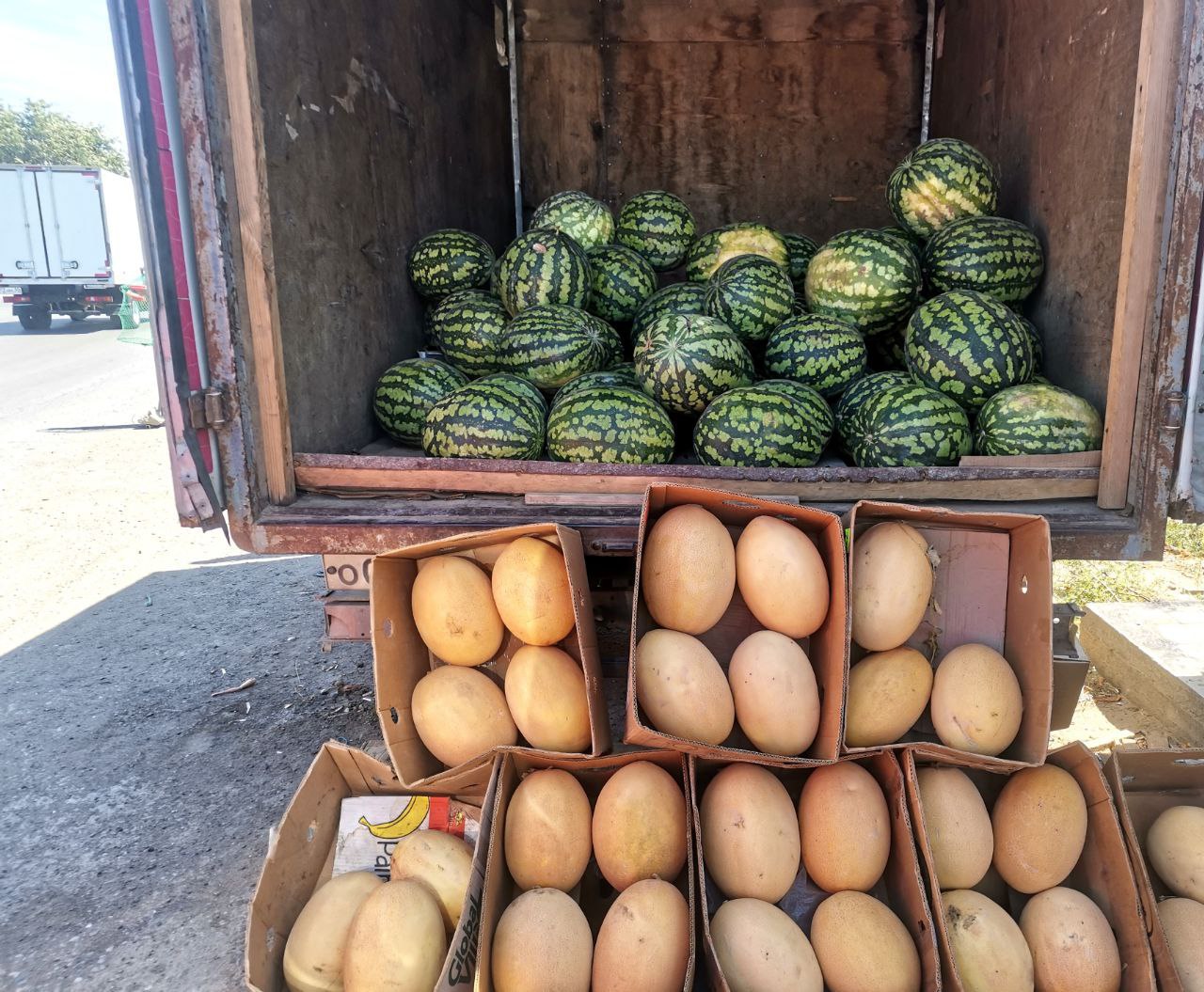 Астраханец отдал мошеннику 20 тонн арбузов и 7 тонн дынь 73 летний фермер из Енотаевского района поверил неизвестному который пообещал ему реализовать сельскохозяйственную продукцию Подробнее   astrakhan su 338761 Мы в Max Подпишитесь