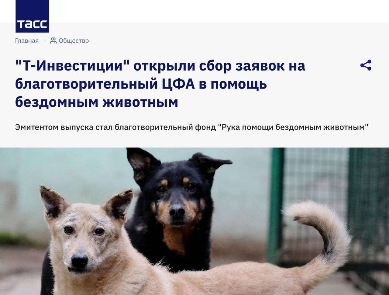 Т Инвестиции запустили благотворительный цифровой актив для помощи бездомным животным на блокчейне Привлекаемые деньги в размере 10 млн пойдут на обустройство ветеринарного центра в Пензе В отличие от обычных инвестиций здесь нет финансовой прибыли актив погашается по символической цене а все деньги направляются на создание приюта реабилитационных блоков и социальной ветеринарной клиники Новый центр сможет ежегодно помогать более 5 5 тыс бездомным животным concertzaal