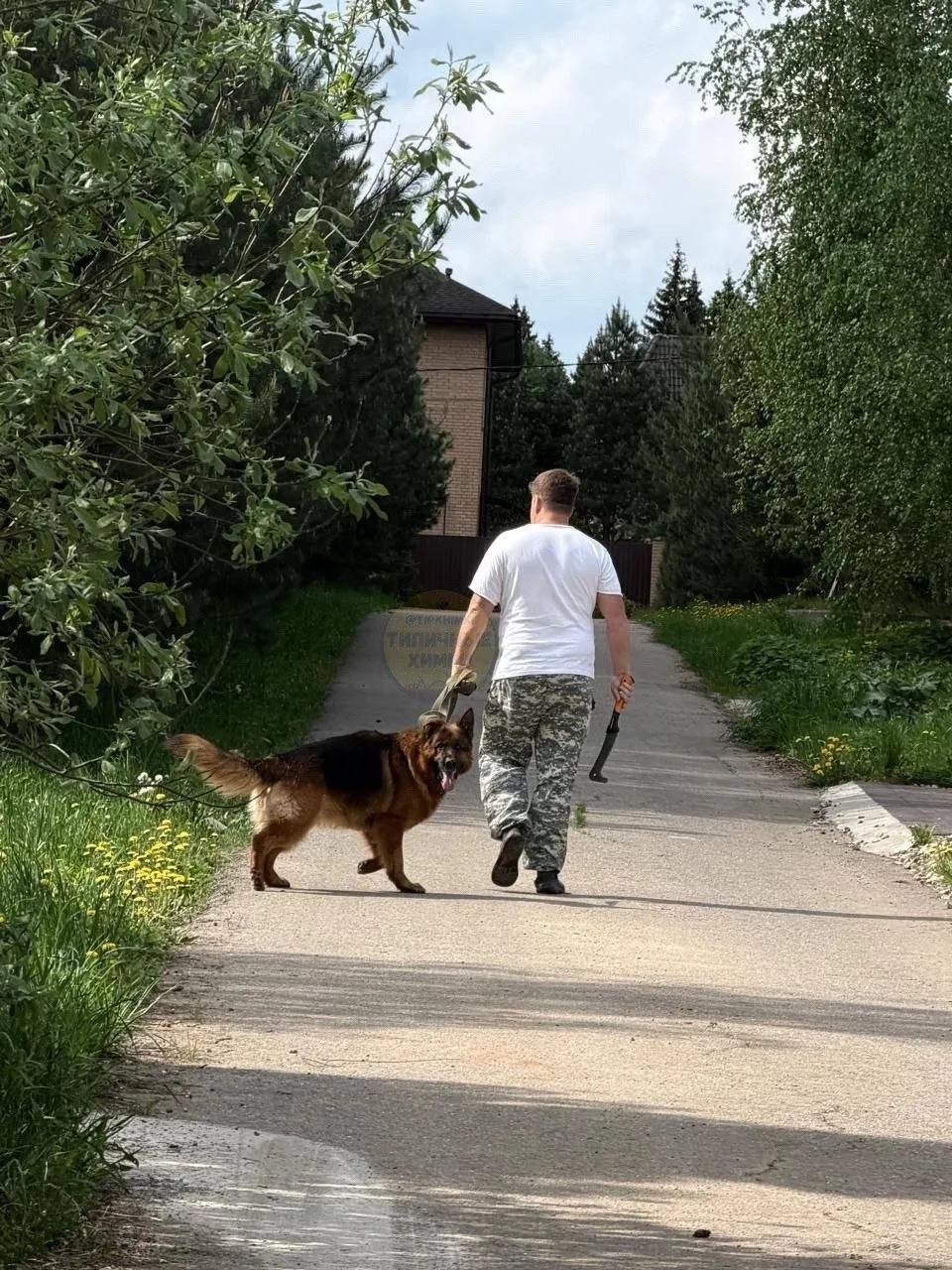 Мужчина напал с ножом на соседскую собаку на частном участке в Химках Возбуждено уголовное дело о жестоком обращении с животными личность нападавшего установлена это 28 летний местный житель По данным СМИ владелец овчарки неоднократно провоцировал конфликты с соседями в ходе одного из них он несколько раз ударил годовалого сенбернара секачом и замахнулся на его хозяина Пострадавшая собака находится в тяжелом состоянии Агентство Москва в Максе