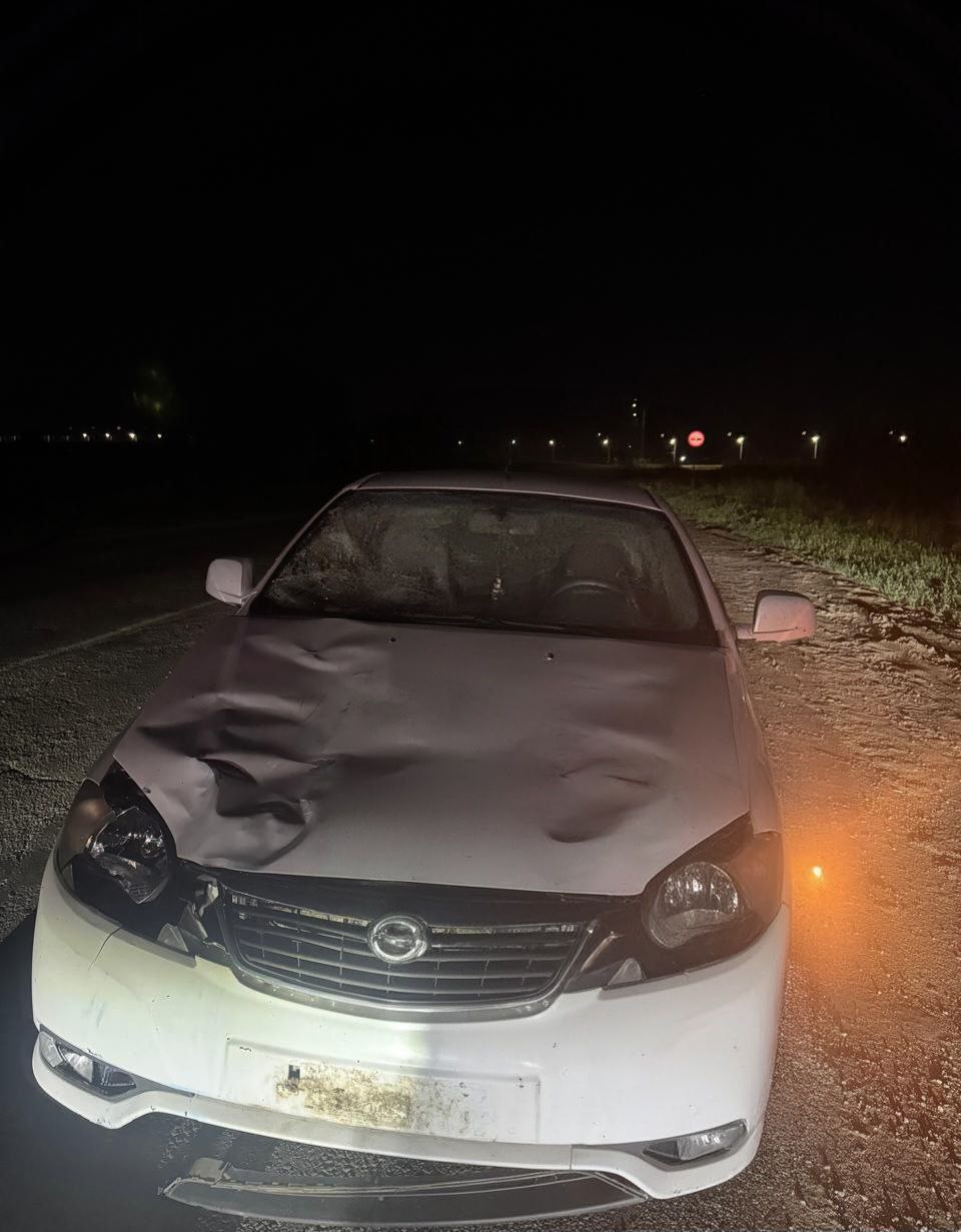 В Воронежской области за сутки зарегистрировано 93 ДТП    Из них в областном центре – 60, на федеральных трассах – 14, в районах области – 19. В 8 ДТП травмы различной степени тяжести получили 6 человек, 3 человека погибли.    Накануне, примерно в 02:40 час., в Новоусманском районе на 3 км автодороги «М-4 "Дон" - с. Александровка», по предварительным данным, водитель автомобиля «Дэу Гентра», 21-летний местный житель, двигаясь со стороны с. Никольское в направлении автодороги «М-4 "Дон"», допустил наезд на пешехода, стоявшего на проезжей части в попутном направлении.   Личность пешехода в настоящее время устанавливается сотрудниками полиции.  В результате дорожно-транспортного происшествия пешеход от полученных травм скончался на месте происшествия до приезда скорой медицинской помощи.   По данному факту сотрудниками полиции проводится проверка, устанавливаются все обстоятельства и причины произошедшего.