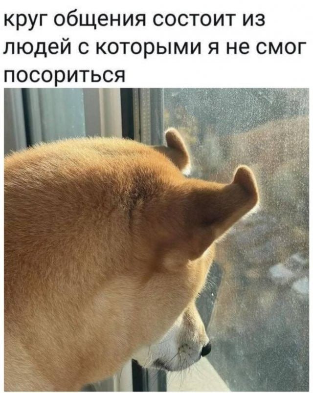 Докатились зумерам не хватает денег на дружбу Теперь молодежи не хватает дохода чтобы дружить а вернее проводить время с друзьями Недавно компания Ally Financial провела опрос в нем участвовали разные поколения от 18 до 44 лет Исследование показало есть связь между социализацией респондентов и их состоянием В среднем респонденты тратили почти 20 тыс руб 250 на развлечения с друзьями При этом 20 зумеров утверждали что различия в финансовых или бытовых привычках привели к разрыву контактов Еще 22 указали что испытывают тревогу они не уверены что могут позволить себе участие в дружеских встречах И уже 44 молодежи пропускали крупные общественные мероприятия из за их стоимости Конечно опрос проходил не в России но у нас зумеры тоже рискуют остаться одинокими 41 московских представителей поколения Z чувствуют себя одинокими каждый день Еще 17 несколько раз в неделю При этом медианная зарплата работников в возрасте 18 24 составила 49 тыс руб Но их зарплаты растут быстрее чем средние по стране Совет от bitkogan Дружба не измеряется количеством потраченных денег Если кошелёк не позволяет часто ходить в кафе или на концерты стоит искать форматы общения без больших затрат А как вы считаете с зарплатой в 50 тыс руб можно дружить да нет ПРОСТО