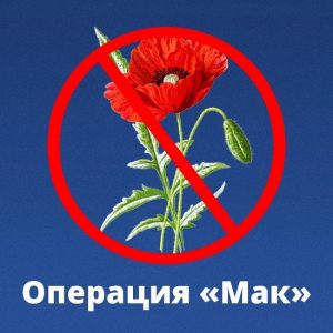 Сегодня стартовал первый этап межведомственной операции «Мак-2025». Ее цель — выявить и уничтожить незаконные посевы конопли и другие наркосодержащие растения, а также пресечь преступления, связанные с их оборотом. В рамках операции будут обследованы сельхозугодья, фермерские хозяйства, пустующие земли и населенные пункты. Упор делается на локализацию очагов произрастания и предотвращение распространения запрещенных культур. Жителей просят сообщать о подозрительных участках или лицах, связанных с наркотиками, в полицию по телефонам 102 или 8-999-259-50-85. Фото: МВД Калмыкия Быть в курсе Прислать новость
