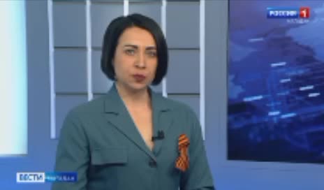 Три детеныша нерпы впервые выползли на берег в Магадане