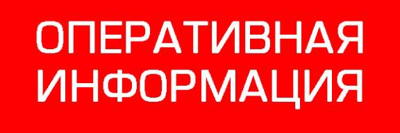 По информации о застрявших в горах чабанов с нашего района На перевале вблизи Лаказани Лахъазан застряли чабаны с отарой овец и крупным рогатыми скотом Сегодня к ним вылетел вертолет со спасателями Вместе с ними двое родственников застрявших чабанов На борту теплые вещи и пропитание Чабаны застряли после сильного снегопада выпавшего в горах Глава района в курсе и оперативно получает информацию