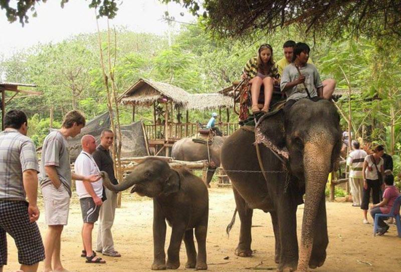 На Бали официально запретили катать туристов на слонах Последний парк на Бали 29 01 2026 Mason Elephant Park прекратил такие программы С 1 января 2026 года по всей стране никаких прогулок на слонах никаких развлекательных шоу Бали стал регионом свободным от туристической эксплуатации слонов Туризм взрослеет и больше уважения к природе Главная мысль простая этичный туризм это уже не тренд а норма