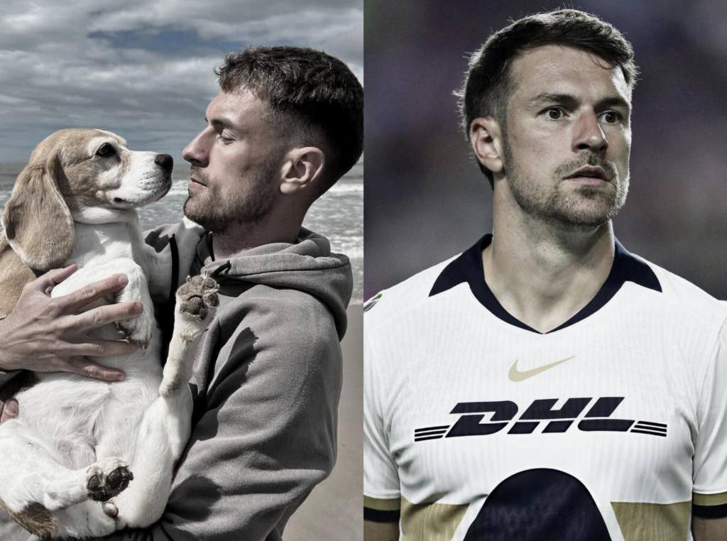 Рэмси разорвал контракт с Пумас из за пропажи собаки 34 летний экс игрок Арсенала и сборной Уэльса забивал России на Евро 2016 не смог перенести потерю своего бигля по кличке Хало в мексиканском Сан Мигель де Альенде рядом с приютом для собак Валлиец назначил награду в 20 тысяч за любые сведения о питомце но собаку так и не смогли найти после чего расстроенный Рэмси вместе со своей женой решили покинуть страну докладывает Goal