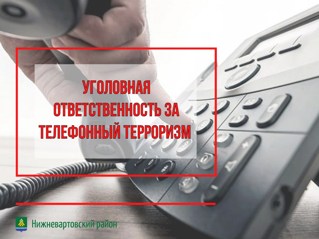 3 уголовных дела за заведомо ложное сообщение об акте терроризма завели полицейские на подростка из Сахалина Предварительно установлено, что парень 2009 года рождения причастен к рассылке ложных сообщений о якобы существующей угрозе учреждениям и социальным объектам, расположенным в Нижневартовском районе. В ходе допроса подозреваемый дал признательные показания. Задержанный признался, что рассылал ложные сообщения от имени югорчан, с которыми конфликтовал в интернете. Отметим, что заведомо ложное сообщение об акте терроризма – серьезное преступление, влекущее за собой уголовную ответственность в соответствии со статьей 207 УК РФ. Наказание за такое деяние зависит от тяжести последствий и мотивов совершения преступления, предусматривает лишение свободы на срок до трех лет. Памятка об ответственности граждан за заведомо ложные сообщения об угрозе совершения террористических актов доступна по ссылке