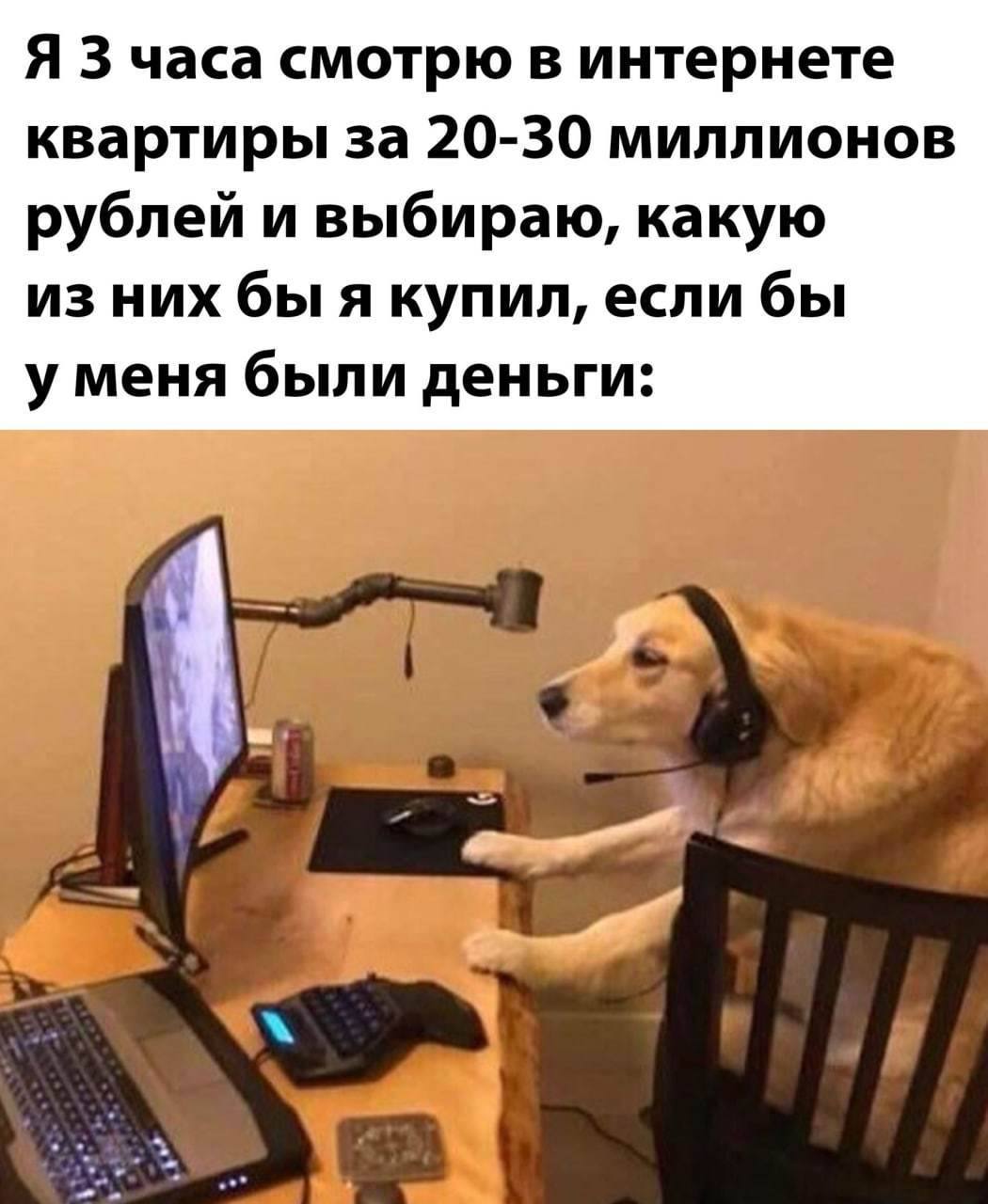 Годовой план по строительству жилья перевыполнила Курганская область За девять месяцев в регионе построили больше чем планировали на весь год 322 8 тысячи квадратных метров жилья Это на 10 больше чем за тот же период прошлого года Большую часть составляют индивидуальные дома 206 6 тысячи квадратов но особенно быстрыми темпами растет многоквартирное строительство 116 2 тысячи квадратных метров что почти в 1 7 раза больше чем год назад Об этом рассказал Вадим Шумком в своем тг канале Подписаться Прислать новость Дать буст Мы в MAX
