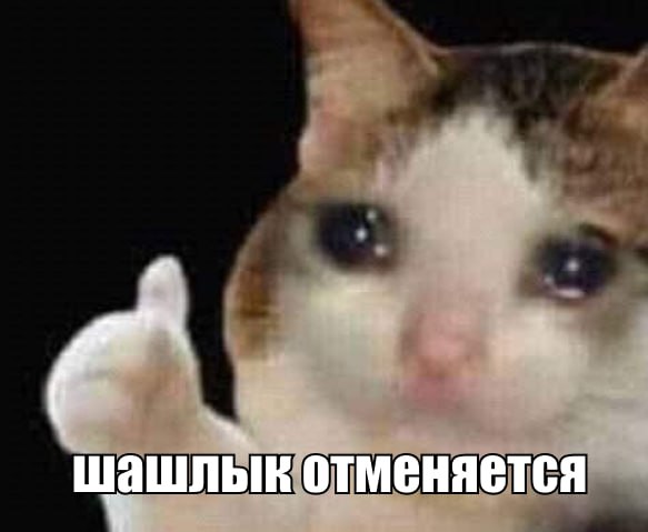 В заготовках шашлыка найдены кишечные бактерии Покупка в магазине полуфабрикатов для шашлыка на майские праздники может обернуться для россиян как минимум отравлением, а максимум – инфекционным заболеванием, пишут «Известия». Во всех образцах шашлыка были выявлены микроорганизмы. Речь идет о продукции производства ООО «Филье Проперти», ООО «Мираторг-Курск», ООО «Мираторг-Брянск» и сети гипермаркетов «О’кей». В двух образцах обнаружена кишечная палочка. Оба – производства компании «Мираторг». Подпишитесь на «Абзац» Добавьте «Абзац» в ленту «Дзена»