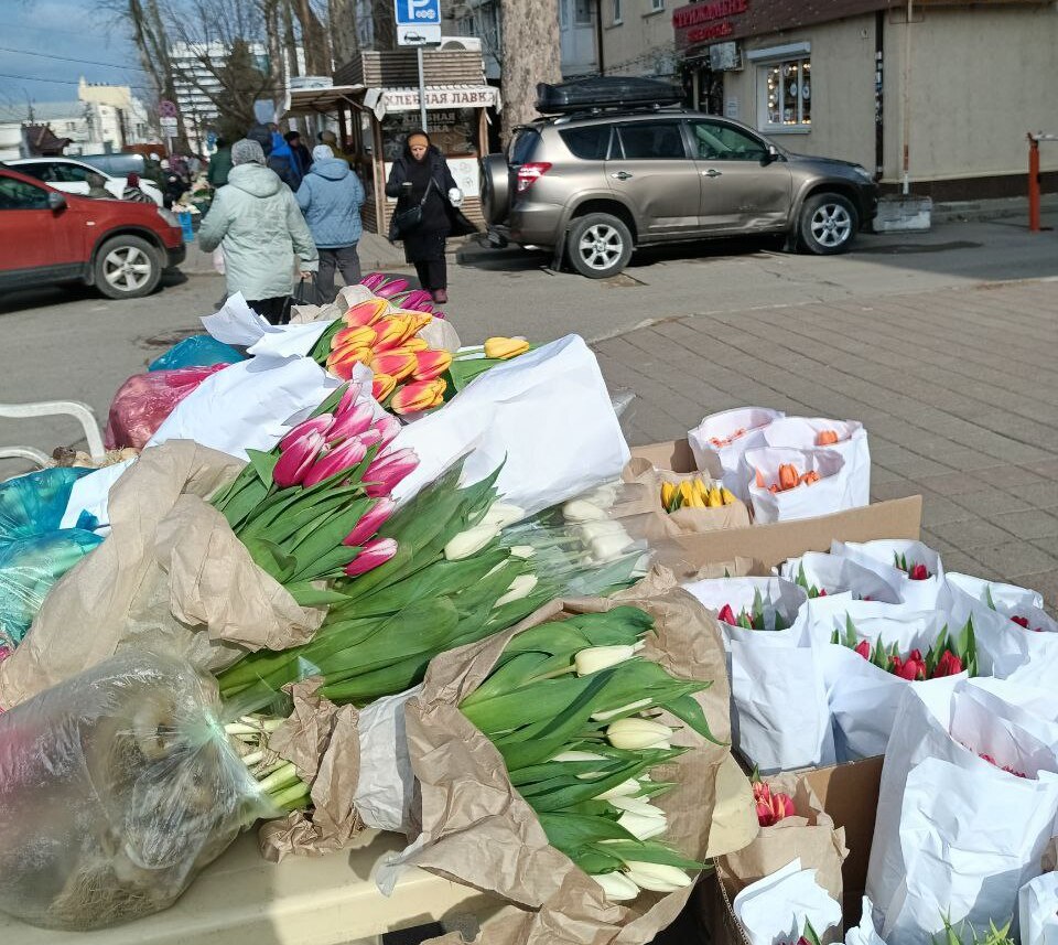 В Анапе началась активная цветочная торговля Пока об открытии официальных цветочных базаров местные власти ещё не сообщали, но приобрести цветы к 8 марта уже можно на улицах города-курорта. Стихийный рынок в центре Анапы на ул. Краснозелёных традиционно одним из первых открывает продажи. Место здесь «проходное» и покупателей всегда достаточно. Сегодня за тюльпаны поштучно продавцы просят от 140 рублей за цветок, порадовать любимых женщин мимозой можно от 150 рублей за веточку. Праздничный букет из 15 тюльпанов «микс» в одном из крупных цветочных магазинов Анапы обойдётся от 3700 рублей, в стоимость включена бесплатная доставка по городу.  фото    #АнапаСегодня  #НовостиАнапыСегодня #НовостиАнапы #АнапаНовости #СегодняВАнапе #АнапаМедиа #СвежиеНовостиАнапы #АктуальныеНовостиАнапы