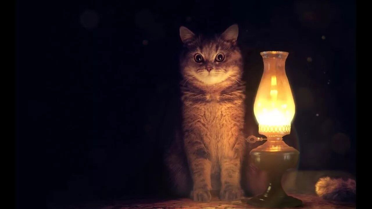 Президент России Владимир Путин поручил правительству до 1 июня 2026 года представить предложения для актуализации документов рассчитывающих значения энергопотребления для объектов капитального строительства