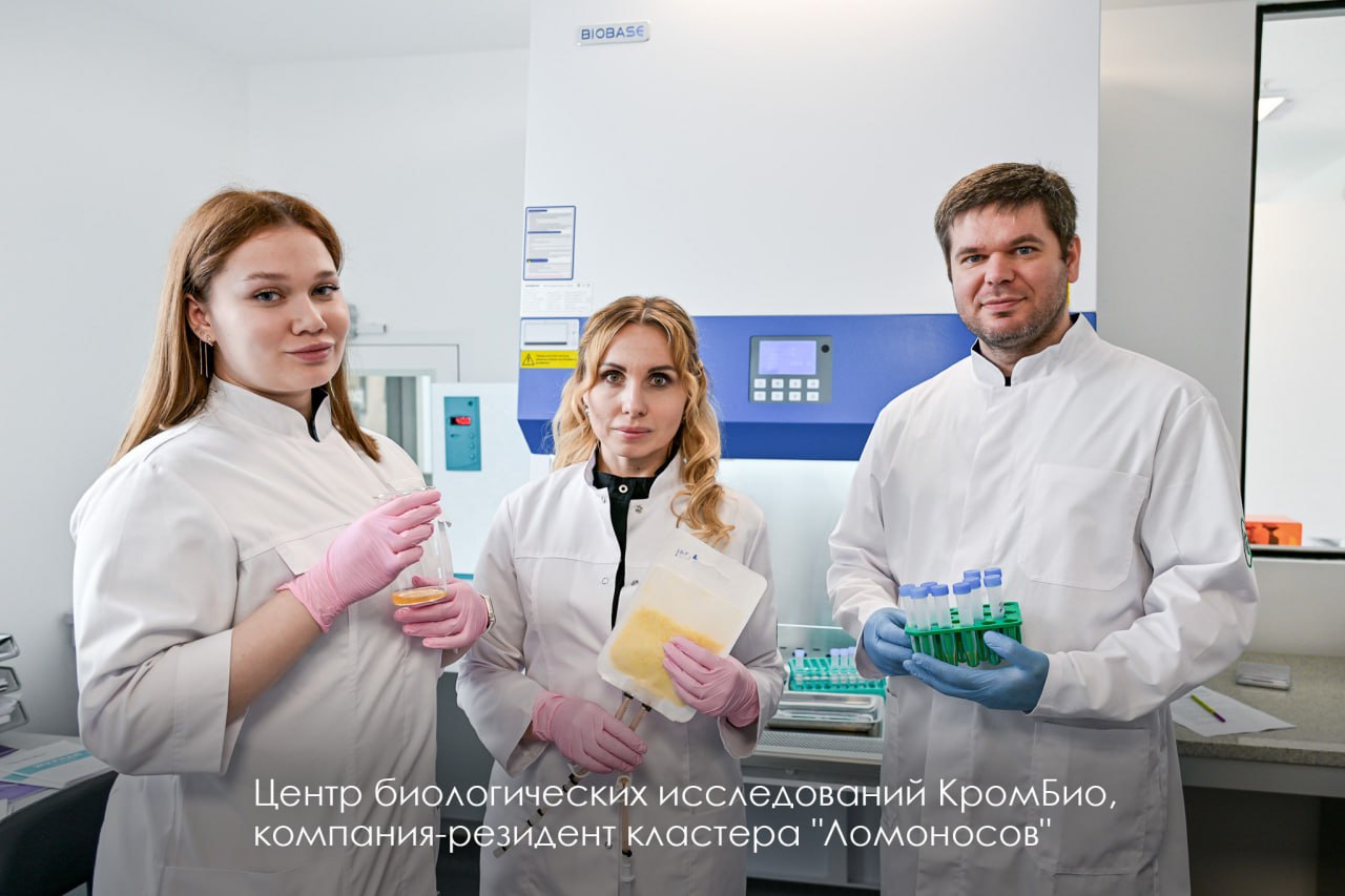 С Председателем Правительства России Михаилом Мишустиным осмотрели работу кластера "Ломоносов" Там прошло заседание Правительственной комиссии по вопросам развития малого и среднего предпринимательства. Это один из ключевых секторов экономики Москвы. В городе свыше 927 тыс. предприятий МСП, которые приносят больше четверти налогов в бюджет и дают работу 39% занятого населения Москвы. Московские МСП работают во всех сферах. Приоритетные для города — исследования и наука. Именно для развития инноваций по поручению Президента России был создан ИНТЦ МГУ "Воробьёвы горы". Центр строится за счёт федерального бюджета, инвесторов и столицы. За два года Москва построила флагманский кластер "Ломоносов", который принял 75 резидентов. Они работают в сфере промышленных и биотехнологий, беспилотных систем, экологии, медицины, ИТ. Практически все разработки в этом кластере востребованы, находят своих потенциальных клиентов. В прошлом году резиденты флагмана получили 105 патентов и общую выручку 15 млрд рублей. Был принят закон, который определяет льготный режим на этой территории. Создана комфортная среда для малого инновационного бизнеса. Кроме того, "Ломоносов" стал площадкой для крупных мероприятий в сфере технологий и инноваций, таких как Московский предпринимательский форум, "Российская креативная неделя", форум "Цифровая транспортация 2024". Мы создали уютную атмосферу на территории кластера: центральную площадь, сквер, внутренний двор, открытые зелёные террасы. Сделали удобные пешеходные связи и проезд между флагманом, гимназией МГУ и станциями метро. Сегодня строятся два проекта — кластеры "Междисциплинарный" и "Инжиниринг". По поручению Президента Москва будет реализовывать ещё два проекта — "Нанотех" и "Космос". Всего на территории ИНТЦ планируется построить девять кластеров общей площадью 479 тыс. кв. м.