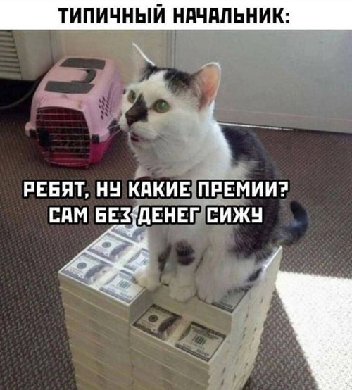 С 1 сентября нельзя будет снижать премии более чем на 20% от зарплаты Как объяснил руководитель правового департамента Федерации независимых профсоюзов России ФНПР Яков Купреев, сейчас работодатели часто формируют большую часть дохода сотрудников за счет премий. Например, при окладе в 20 тыс. рублей премия может составлять до 80 тыс. При этом за дисциплинарный проступок работника могут лишить всей этой суммы — в итоге он получит лишь оклад. Согласно новым поправкам в Трудовой кодекс, такая практика будет запрещена! Размер удержания премии в случае дисциплинарного взыскания теперь не должен превышать 20% от общей суммы зарплаты за месяц. При этрм, если в компании премирование регулируется коллективным договором, то теперь в нем нужно четко прописывать виды премий, их размеры, сроки и условия выплаты.