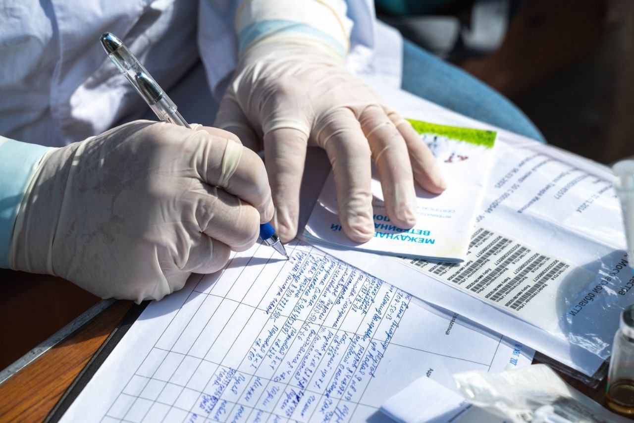 В Реутове приняты профилактические меры в связи с выявлением случая бешенства В городе проводятся необходимые санитарно противоэпидемические мероприятия в связи с выявлением единичного случая бешенства у животного Инцидент локализован в одном из многоквартирных домов по адресу улица Молодежная дом 4 Причиной введения ограничительных мер стала частная инициатива жителей которые привезли из леса дикого хорька с целью оказания ему помощи В ходе ветеринарного обследования у животного были выявлены признаки заболевания к сожалению спасти его не удалось Специалисты профильных служб оперативно отреагировали на ситуацию В настоящее время в местах общего пользования данного дома подъезде лифтовом холле а также непосредственно в квартире владельцев проведена полная дезинфекция В соответствии с регламентом территория города временно получила статус неблагополучного пункта На время карантина запрещается проведение ярмарок выставок и иных мероприятий с участием животных перемещение восприимчивых животных вне границ города ввоз и вывоз животных без подтвержденной вакцинации против бешенства Ситуацию разъяснила заместитель главы городского округа Реутов Лилия Богданова Поводов для беспокойства у жителей нет ситуация штатная и полностью контролируется ветеринарной службой Для вакцинированных домашних животных вирус не представляет опасности Однако в качестве дополнительной меры предосторожности мы настоятельно рекомендуем владельцам кошек и собак повторить процедуру если с момента последней прививки прошло более трех месяцев Это гарантирует безопасность питомцев Срок действия ограничений в соответствии с постановлением составляет 179 дней Владельцам животных рекомендуется не допускать самовыгула проверить наличие вакцинации против бешенства при подозрении на заболевание немедленно обращаться в государственную ветеринарную службу избегать контактов с безнадзорными и дикими животными Администрация округа просит жителей с пониманием отнестись к временным ограничениям и напоминает о важности регулярной иммунизации питомцев