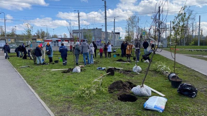 На Ржевской площади создали яблоневый "Сад памяти" "Сад памяти" посадили на Ржевской площади в Петербурге. 25 яблонь начали расти в рамках международной акции рядом с железнодорожной станцией "Ржевка". Как сообщил в своем телеграм-канале глава администрации Красногвардейского района Андрей Хорт, каждое дерево получило имя Героя Советского Союза, захороненного на Большеохтинском и Пороховском кладбищах. Таблички с QR-кодами, по которым можно перейти на сайт и прочитать историю героев, будут размещены на следующей неделе. "В комментариях к моему посту ВКонтакте можно оставить предложения с именами Героев. Обязательно учтем предложения жителей", – рассказал Андрей Хорт. Международная акция "Сад памяти" организуется с 2020 года по поручению президента РФ Владимира Путина. Сейчас по всему миру имеется уже больше 130 миллионов деревьев, высаженных в память о героях Великой Отечественной войны.