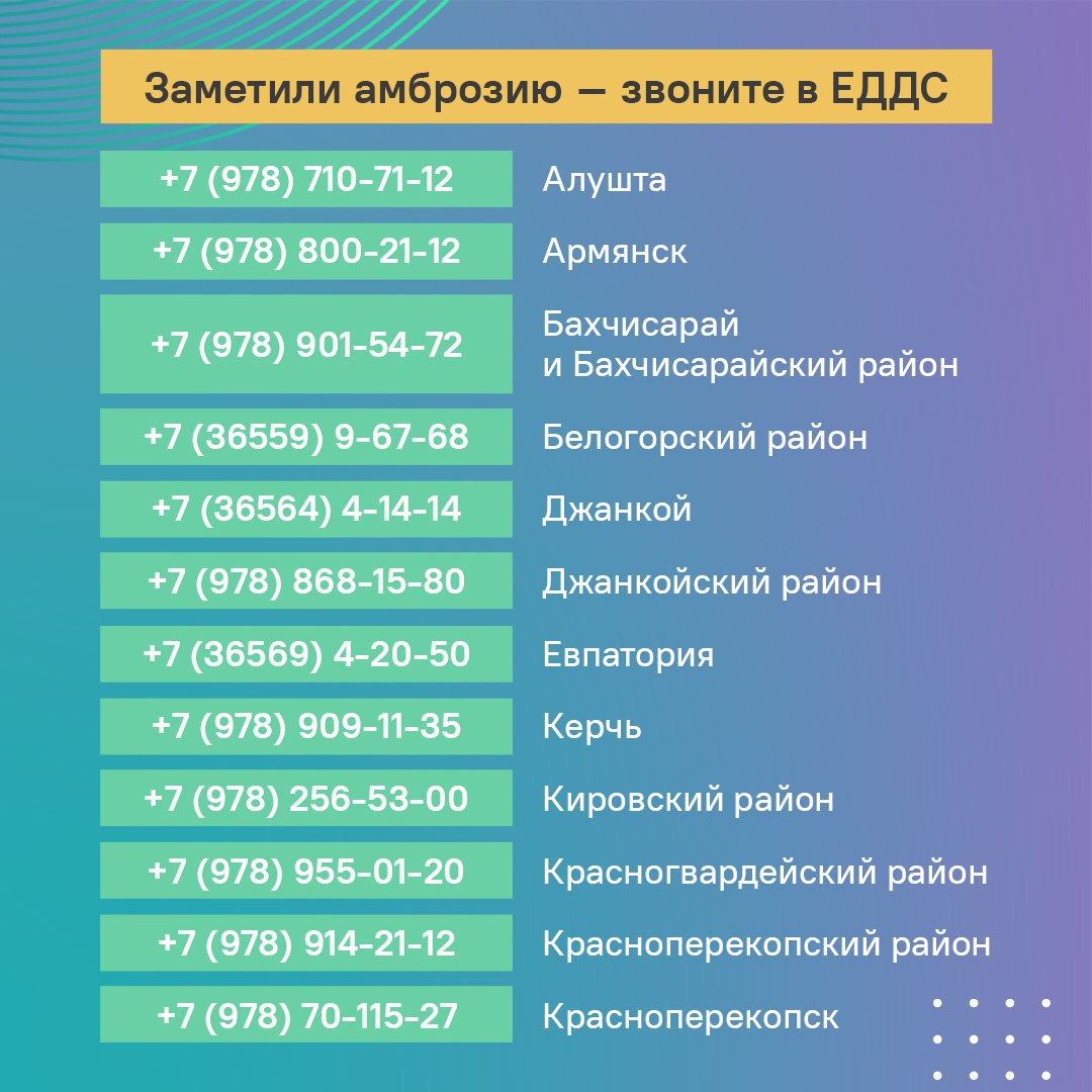 Стой, амброзия! Приближается сезон цветения амброзии - опасного сорняка, который вреден как для растений, так и для людей. В муниципалитетах Крыма администрации ведут системную работу по уничтожению карантинного аллергена. Например, в Симферополе уже обработаны центральные и проездные улицы, парки, скверы, а также набережная реки Салгир. Вы можете помочь специалистам в ликвидации сорняка. Если увидели амброзию, звоните в ЕДДС своего муниципалитета. Номера телефонов собрали в карточках ЦУР Республики Крым