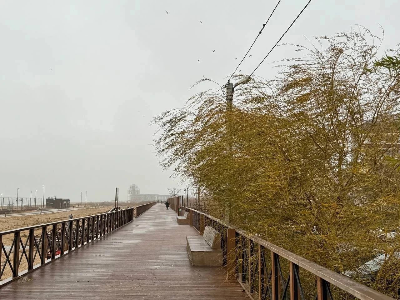В Дагестане ожидается усиление ветра по районам моря МЧС Сегодня 16 февраля по районам моря в Дагестане ожидается усиление восточного юго восточного ветра до 13 18 м с Как уточнили в МЧС региона высота волны будет 1 1 8 м