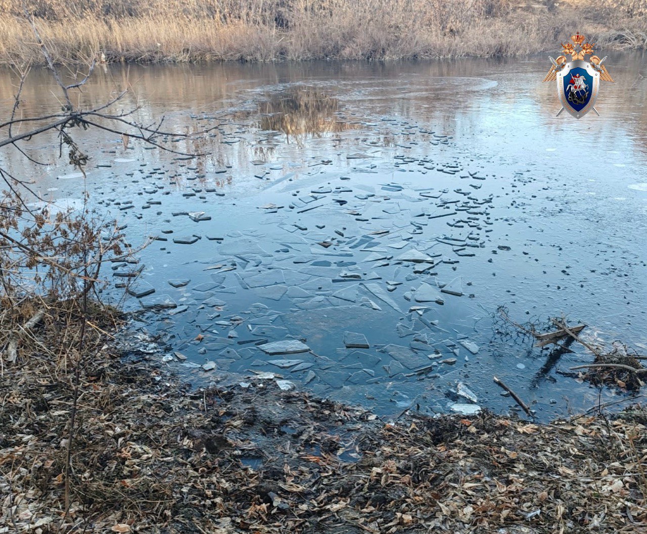 Следственный комитет начал проверку после гибели ребенка в Кваркенском районе Следователи СК России по Оренбургской области выясняют все обстоятельства произошедшего Назначены экспертизы проводится проверка по итогам которой будет принято процессуальное решение