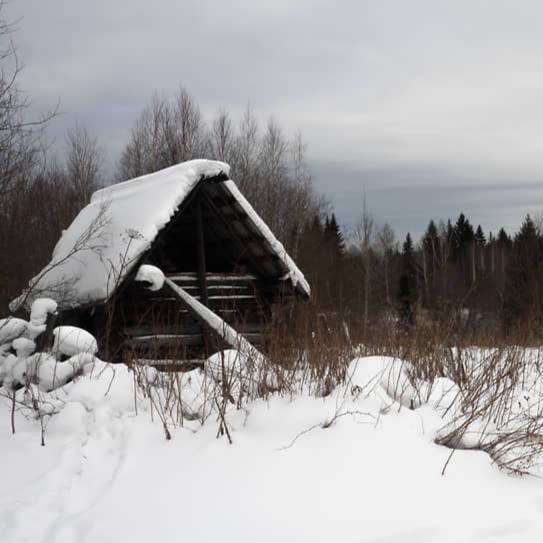 В Свердловской области пропадёт посёлок Каквинские Печи Посёлок Каквинские Печи рядом с Карпинском официально готовят к исключению с карты Свердловской области Законопроект об его упразднении опубликовало региональное Заксобрание инициатором выступила городская дума Карпинска Решение приняли после обследования территории комиссия установила что в посёлке нет жителей жилых домов магазинов и какой либо инфраструктуры Фактически населённый пункт давно перестал существовать В начале XX века здесь производили древесный уголь для нужд Надеждинского металлургического завода Новости Екб тут SvetEKB