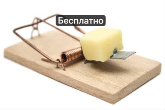 Сделать бесплатными парковки по выходным в Краснодаре предложили в Госдуме Инициатива принадлежит депутату Дмитрию Гусеву Справедливая Россия он направил обращение мэру Евгению Наумову По задумке авторов такой режим должен упростить поездки в парки и общественные пространства в дни отдыха поддержать культурную и торговую активность и стать дополнительным плюсом для семей и пожилых людей Есть интересная новость Присылайте нам  Краснодар Сегодня   канал в MAX ПРИСЛАТЬ НОВОСТЬ