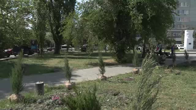 Молодежь высаживает деревья и кустарники в рамках акций по благоустройству