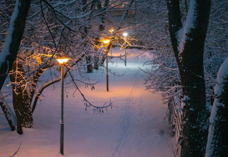 Ежедневные зимние прогулки снижают риск ОРВИ на 30 50 Прогулки при низких температурах увеличивают активность естественных киллеров NK клеток повышают уровень витамина D усиливают обменные процессы и снижают уровень кортизола Оптимальная прогулка 30 60 минут в день