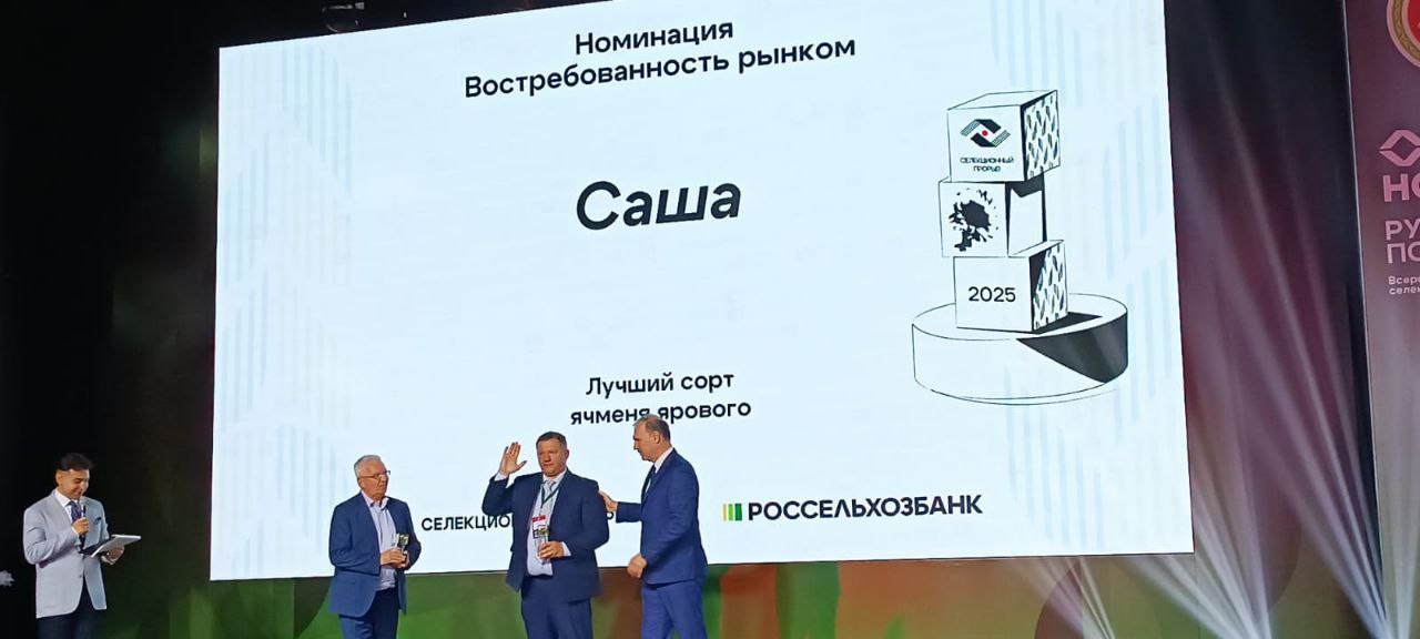 Ученые Омского аграрного научного центра удостоены премии Селекционный прорыв Селекционеры научного учреждения получили награду за сорт ярового ячменя Саша в номинации Востребованность рынком Торжественная церемония прошла в рамках Всероссийского форума селекционеров и семеноводов Русское поле 2025 в городе Казани От всей души поздравляю директора Омского АНЦ Максима Сергеевича Чекусова весь коллектив учреждения и авторский коллектив который работал над сортом Н Аниськов Е Ананченко Л Братцева Л Спиридонова П Поползухин Г Козлова О Сабаева А Гайдар В Амельченко Желаю новых открытий научных прорывов и вдохновения