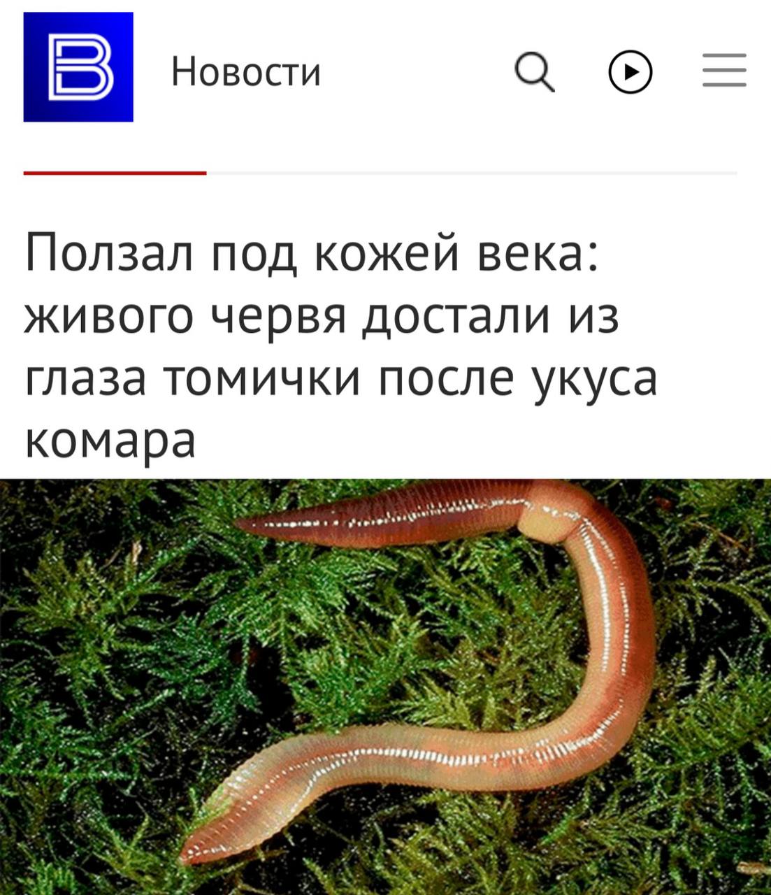В Томске у женщины извлекли живого червя из века после укуса комара во время отдыха в Анапе. После укуса комара, который казался безобидным, в организме начал расти паразит. Червь, который оказался самкой дипофелярии, стал мигрировать под кожей женщины. Операция по удалению гельминта была успешно проведена в институте микрохирургии.  Гельминт попадает в человеческий организм через укус комара, растет и мигрирует под кожей, обычно не размножаясь, так как в организм попадает лишь одна особь.