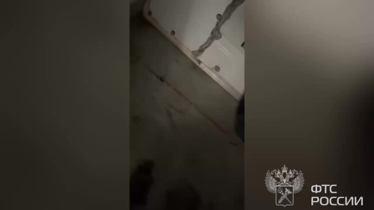 Петербургские таможенники задержали 40 брикетов кокаина на 600 миллионов рублей