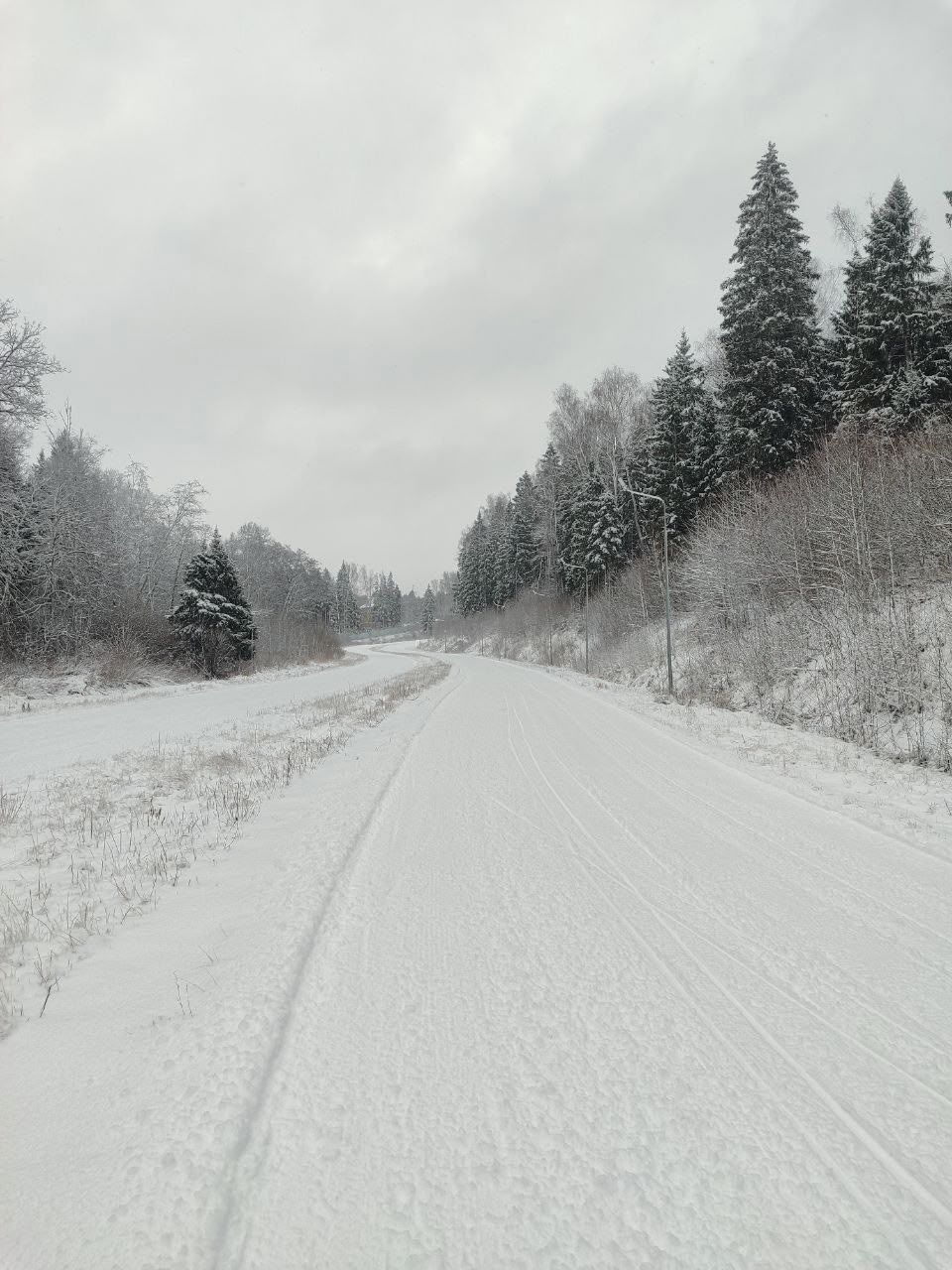 5 января на лыжероллерной трассе устроят первые в сезоне гонки До этого погода к лыжникам не была благосклонна Пришлось отменить соревнования Гонка в память друзей 21 декабря и предновогодний забег 31 декабря Но сейчас снега навалило на радость всем