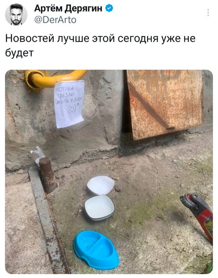 На следующей неделе в Казани состоится благотворительная выставка пристрой кошек Дорога домой Здесь представят бывших бездомных кошек прошедших необходимые ветеринарные процедуры Посетители смогут познакомиться с животными получить рекомендации кураторов и задать вопросы специалисту Вход стоит 150 рублей собранные средства направят на содержание животных приюта ТеремокЗабота   entermedia io news v kazani provedut blagotvoritelnuyu vystavku pristroj koshek