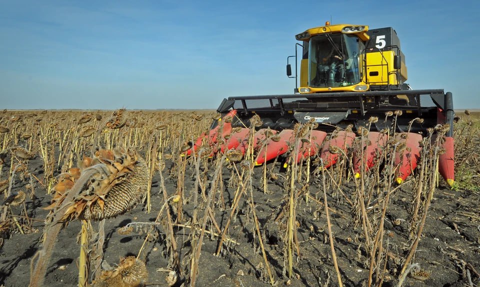 В Челябинской области зафиксировали исторический рекорд по сбору масличных культур По итогам полевого сезона аграрии намолотили 472 5 тысячи тонн что сразу на 64 5 больше показателей прошлого года Об этом сообщили в пресс службе губернатора региона Главными факторами роста стали расширение посевных площадей и увеличение урожайности В 2025 году под масличные культуры отвели на 45 больше земли Особенно заметно выросли площади под подсолнечник до 179 8 тысячи гектаров а также под масличный лен до 147 9 тысячи гектаров Положительную динамику показали также рапс соя и рыжик   Подписаться на chelkp Мы в MAX