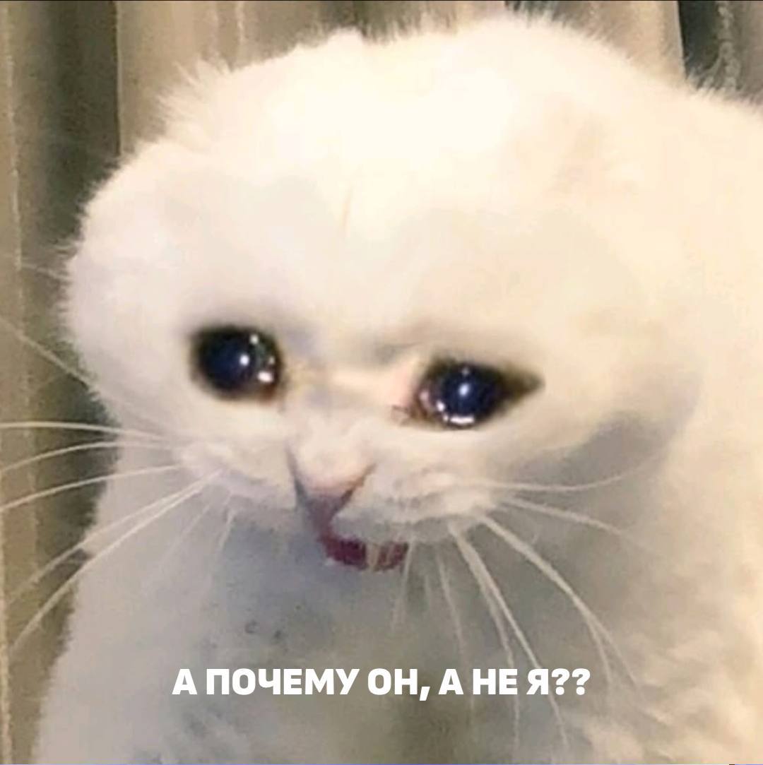 Пермяк выиграл миллион и забыл теперь его ищут Житель края стал победителем Мечталлиона сорвав куш в один миллион рублей Но есть одна загвоздка организаторы не могут найти счастливчика чтобы вручить ему деньги Видимо выигрыш был настолько неожиданным что его даже не проверили   Подписаться   Дать буст Мы в MAX