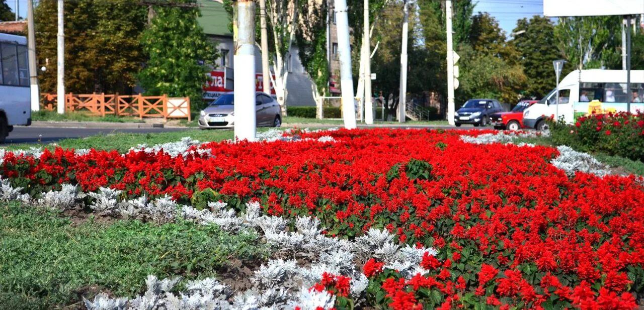 200 тысяч цветов украсят улицы и скверы Луганска в этом году    Высадка начнется с наступлением устойчивого тепла. Об этом сообщила директор Комбината зеленого хозяйства и благоустройства Нигина Соловьева.  «Пока планируем озеленить 800 тыс. метров квадратных. У нас будут в этом году достаточно большие площади».  Ещё чуть-чуть, и Луганск зацветет    ————— Поддержите канал Подпиской на "Сыны Отечества" или Голосом за канал    подписаться   проголосовать   Наш проект в социальных сетях: Вконтакте, Одноклассники, Дзен, RuTube