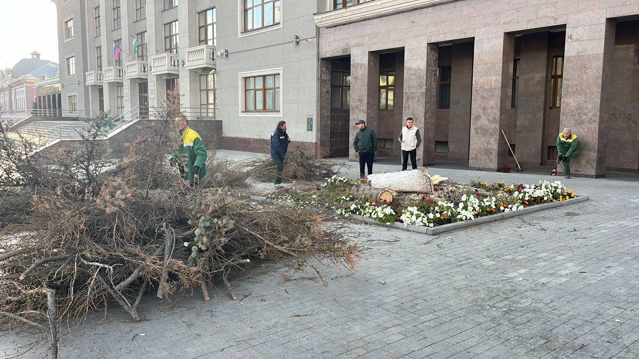 Добрались до Советской площади. В Уфе продолжают избавляться от старых деревьев    Сегодня, 5 октября, на Советской площади рядом со зданием Минсельхоза спилили две ели. Как сообщил глава Кировского района Илвир Нурдавлятов, состояние деревьев представляло угрозу для общественной безопасности. По словам чиновника, взамен им на том же месте высадят новые здоровые ели уже в ближайшее время.