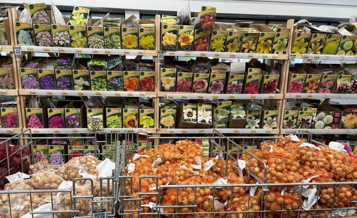 73 нарушения при продаже пакетированных семян выявили в Воронежской области в 2025 году Специалисты Россельхознадзора проверили 52 места розничной торговли и 35 интернет магазинов В первом случае они выявили 40 нарушений во втором 33 Чаще всего они были связаны с продажей семян не включённых в Государственный реестр селекционных достижений а также с отсутствием обязательной маркировки   vrn aif ru society details v voronezhskoy oblasti s narusheniem prodavali semena pomidorov i yablon aifvrn