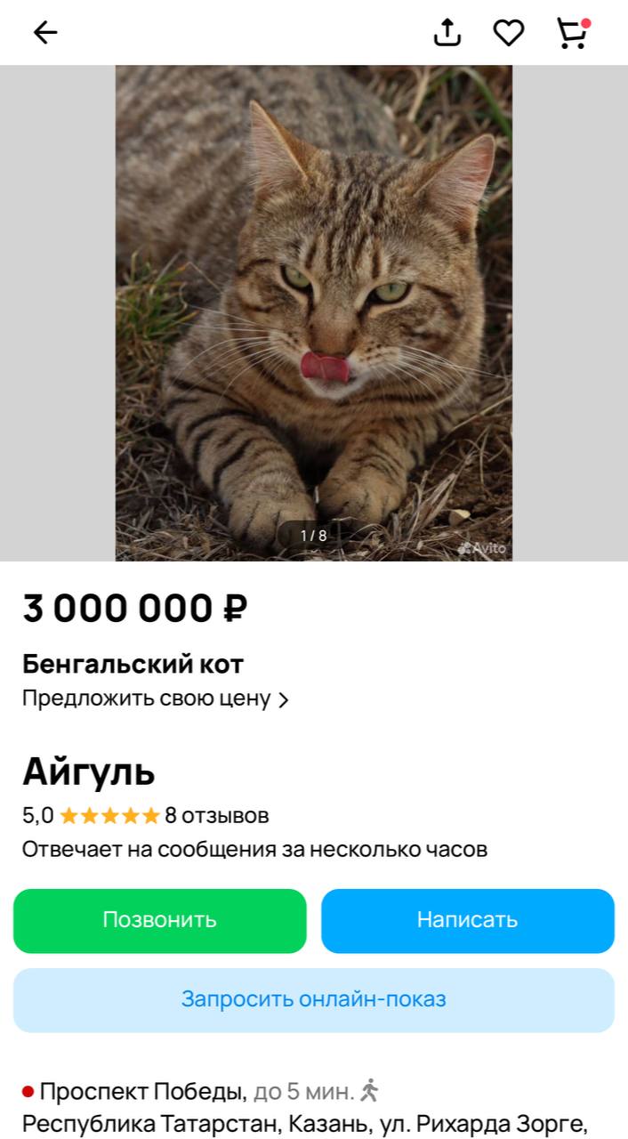Чтобы закрыть ипотеку в Татарстане, в ход идут даже животные Так, девушка в Казани для этой цели выставила объявление о продаже своего кота за 3 миллиона рублей, мотивируя это тем, что ее "товар" очень умный, сообразительный, свободолюбивый и независимый. Как видим, коты не только умеют вышивать и на машинке работать, но и в жилищных вопросах играют немаловажную роль. А вы рискнули бы на такой шаг для закрытия ипотеки? - это немыслимо - с нынешними размерами ипотеки что не сделаешь ради ее закрытия -24 Отправить новость