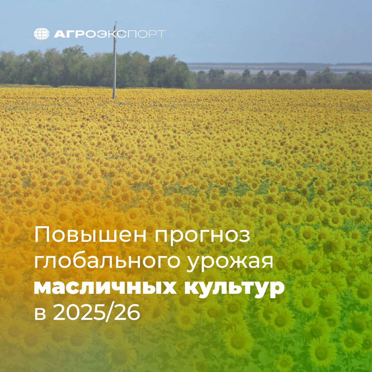 Повышен прогноз глобального урожая масличных культур в 2025 26 Прогноз мирового производства масличных культур в сезоне 2025 26 увеличен в сентябрьском обзоре Минсельхоза США до 691 55 млн тонн Как поясняют аналитики ведомства изменения внесены на фоне роста производства рапса в Канаде сои в России и подсолнечника в России и Казахстане который компенсирует снижение производства сои в Индии и подсолнечника на Украине и в ЕС Оценка глобального импорта подсолнечного масла увеличена до 12 17 млн тонн июльский прогноз 12 07 млн тонн а рапсового масла до 7 13 млн тонн 7 08 млн тонн В то же время прогноз мирового импорта соевого масла сокращен с 12 03 млн тонн до 11 94 млн тонн а пальмового с 43 8 млн тонн до 43 42 млн тонн В целом прогноз мировой торговли растительными маслами снижен из за сокращения экспорта подсолнечника из Украины пальмового масла из Гватемалы и Кот д Ивуара а также соевого масла из Аргентины что перевесит рост экспорта подсолнечного масла из России и Казахстана говорится в сентябрьском обзоре Минсельхоза США USDA агроэкспорт новостиАПК