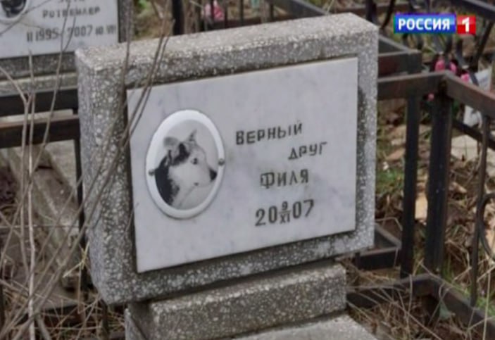 В Нижегородской области запретили хоронить домашних животных  В соответствии с поправками, принятыми к Дополнительным требованиям к содержанию животных, теперь владельцы должны будут сдавать умерших питомцев на кремацию в специализированные организации  ветклиники .  Новые правила вступают в силу с момента опубликования документа. Правда, в документе не уточняется, какая ответственность грозит гражданам за нарушение поправок.    Прислать новость