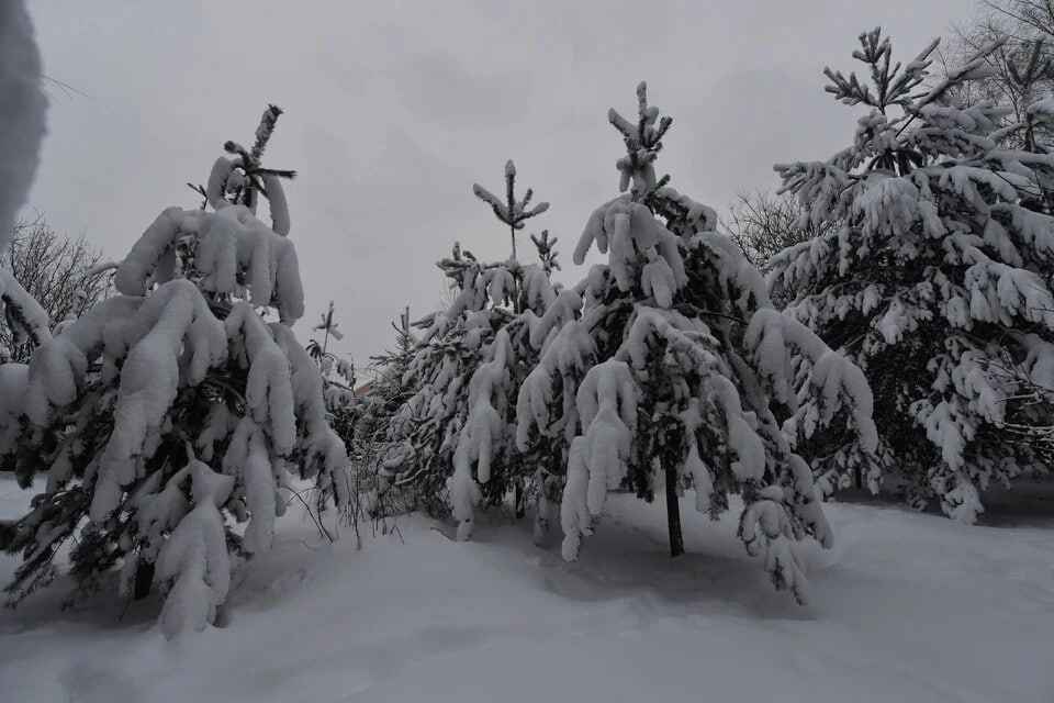 На трассе М 5 в Челябинской области 9 февраля ввели ограничения из за сильного снегопада Как рассказали в региональной Госавтоинспекции с 10 00 запрещен проезд автобусов и грузовиков по участку с 1799 по 1548 километр дороги Ограничения надеются снять в 17 00 но это пока только предварительный план Фактически ситуация будет зависеть от погоды   Подписаться на chelkp Мы в MAX