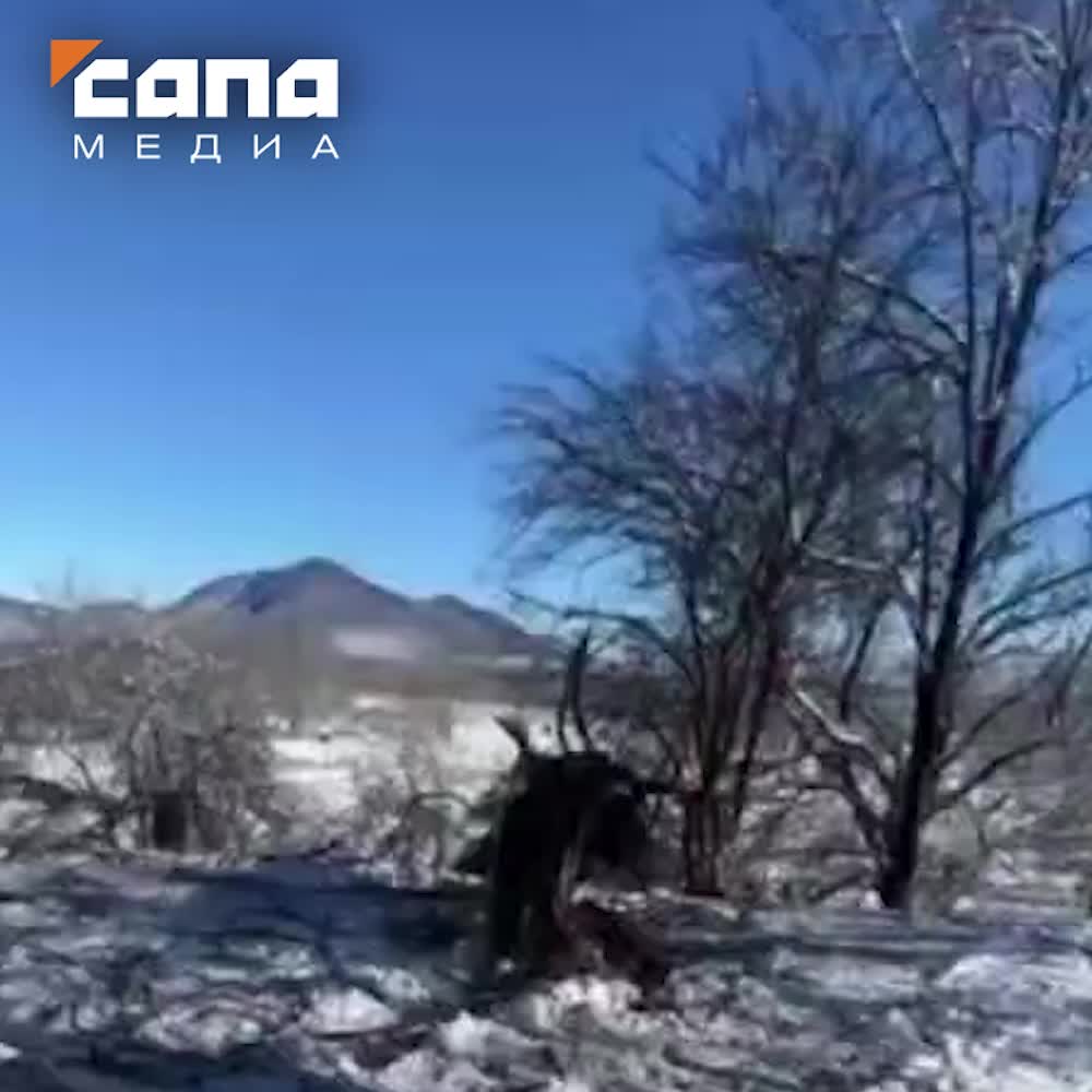 Конфликт в селе Балта: угроза насилия и расследование МВД