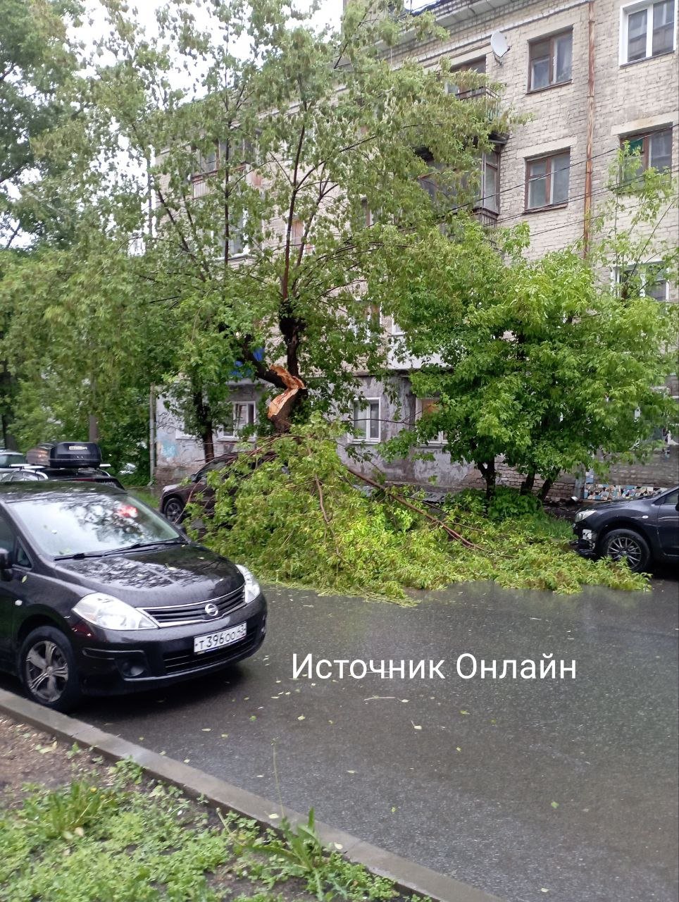 Дерево упало на машину в центре Кирова на улице Карла Либкнехта, сообщает читатель «Источника Онлайн».