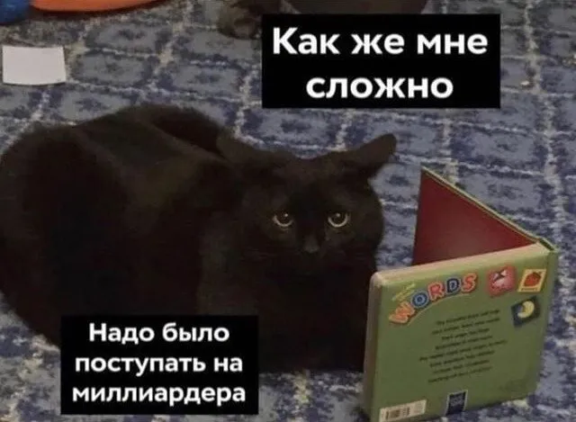 В Башкортостане стало больше миллиардеров По данным регионального УФНС сразу 25 жителей республики заявили доходы более 1 миллиарда рублей за 2025 год Годом ранее таких было 21 Более того число миллионеров тоже выросло теперь их более 101 тысячи в прошлом году 87 тысяч Кстати в свежий рейтинг миллиардеров Forbes 2026 года вошли 155 россиян рекордное количество Их совокупное состояние достигло 696 5 млрд Еще немного информации не такой интересной но все же нужной Всего в налоговые органы поступило 483 тысячи деклараций по НДФЛ на 3 меньше чем годом ранее Сумма налога к доплате в бюджет составила 3 6 млрд рублей 32 а к возврату 13 8 млрд рублей 5 Жители республики подали 56 5 тысячи заявлений на упрощённые налоговые вычеты на 82 6 больше чем в 2024 году Налоговая также отчиталась что в МВД направили 53 материала о мошенничестве ст 159 УК РФ по 26 людям на сумму более 3 млн рублей Для сравнения годом ранее было 45 материалов на 1 6 млн рублей  Обратная связь  Подписаться  Подписаться в MАХ