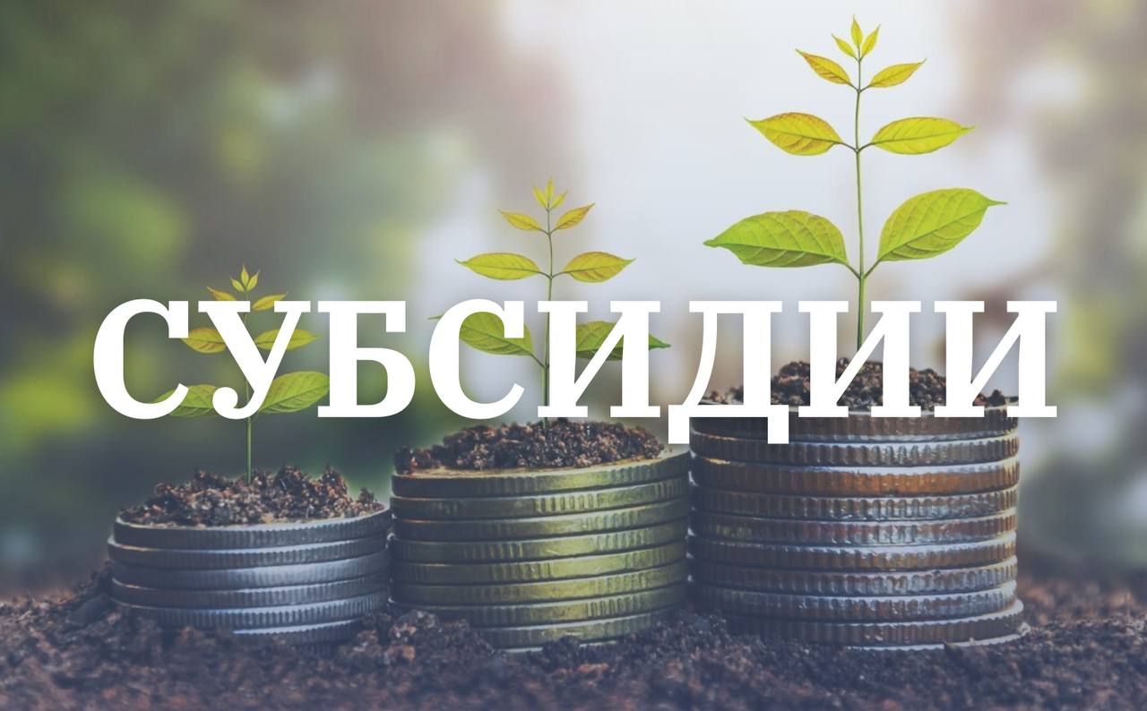 Стартовали очередные отборы претендентов на предоставление субсидий на поддержку и развитие сельского хозяйства по направлениям:      стимулирование выращивания кормовых культур;    приобретение и внесение минеральных удобрений, побочных продуктов животноводства, включая торфокомпосты;    стимулирование увеличения производства картофеля;    приобретение тепличными предприятиями энергоносителей  технологического газа, тепловой энергии, твердого топлива  угля .    Заявки принимаются:    до 15 августа 2025 года   ⏰ 17:00 часов.      Заявки для участия в отборе формируются и направляются в электронном виде в системе «Электронный бюджет».      Все подробности — на сайте.   #сельское_хозяйство     Telegram    ВКонтакте    Одноклассники