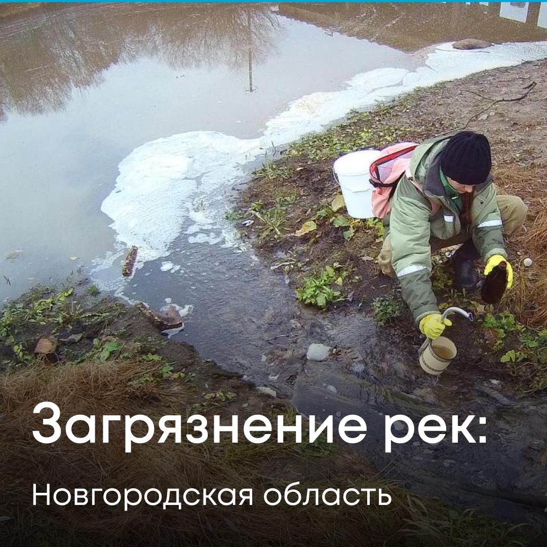 Наши инспекторы выявили серьезные нарушения при эксплуатации очистных сооружений в деревне Борки Новгородской области. МУП «Коммунальное хозяйство Новгородского района» осуществляло сброс недостаточно очищенных сточных вод в реку Веронда. В стоках обнаружены превышения предельно допустимых концентраций загрязняющих веществ. Установлено, что очистные сооружения полностью не справляются со своей функцией. Кроме того, предприятие не имело решения о предоставлении водного объекта в пользование. Мы рассчитали ущерб, причиненный реке, — он составил 2,2 млн рублей. После отказа предприятия добровольно возместить вред мы обратились в суд, который полностью поддержал нашу позицию. МУП «Коммунальное хозяйство Новгородского района» обязано выплатить всю сумму в счет возмещения экологического ущерба. Устранение нарушений находится на нашем контроле.