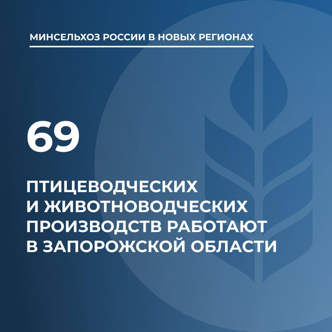 Производство молока, мяса и яиц: в Запорожской области работают 69 предприятий  Министерство сельского хозяйства России подвело итоги работы птицеводческих и животноводческих производств Запорожской области.  Производство яиц Птицеводческие предприятия Запорожской области планируют нарастить объем производства яиц к концу 2025 года. Сейчас в регионе работают два крупных производства. По итогам 2024 года на них было произведено 4,2 млн яиц в месяц. В планах на 2025 год нарастить объем до 4,5 млн яиц в месяц.  Производство мяса и молока В Запорожской области работают 67 предприятий, общее поголовье которых составляет 225 тыс. свиней, 42,1 тыс. крупного рогатого скота, 28,5 тыс. овец. В федеральном министерстве подчеркнули, что для развития животноводческой отрасли региона необходимо привлечение инвесторов, основные силы которых должны быть направлены в первую очередь на племенную работу, создание и модернизацию производства комбикормов, заготовку зеленых кормов.