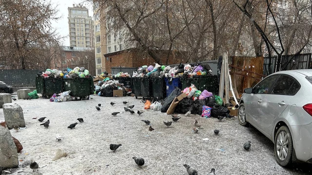 В Челябинске пересмотрят график вывоза отходов после жалоб на неубранный мусор и крыс    Плачевная ситуация складывается на улице Телевизионной в Советском районе. По словам жителей, на контейнерной площадке неподалеку от детского сада царит антисанитария, время от времени там замечают крыс.    На обращение жителей отреагировал Алексей Лошкин, избранный главой Челябинска. Он поручил Центру коммунального сервиса, который отвечает за вывоз отходов в Челябинском кластере, разобраться с переполнением баков и предложил пересмотреть график работы мусоровозов на этих маршрутах. Кроме того, по распоряжению Алексея Лошкина на улице Телевизионной организуют борьбу с грызунами.    В то же время в мэрии Челябинска призвали жителей не усложнять работу коммунальщиков и, в частности, не блокировать подъезды к контейнерным площадкам – нередко возникают ситуации, когда мусоровоз не может подобраться к бакам из-за припаркованного рядом автомобиля.    Фото: пресс-служба администрации Челябинска    Вести Южный Урал   Челябинск