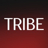 Аватар Телеграм канала: TRIBE.Недвижимость